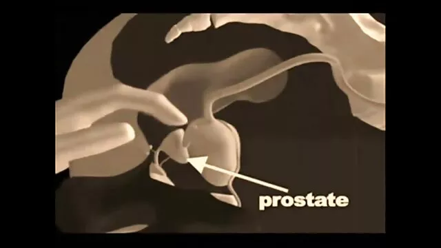 gilf داغ خودش را با یک لینک کانال فیلم سوپر درتلگرام dildo fucks
