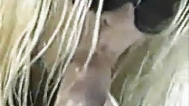Brazzers - کانال سکس سوپر تلگرام شب با ابیگل