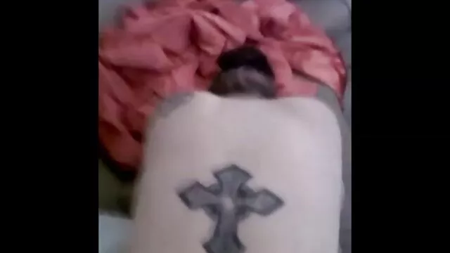 5 خانه شیر معرفی کانال فیلم سوپر برای گربه گربه شکم گرسنه گربه چک
