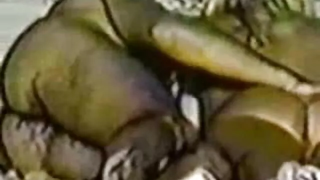 الاغ بزرگ بسیار کانال سکسی شب زدگان عالی است